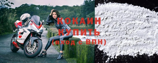 прущая мука Вяземский